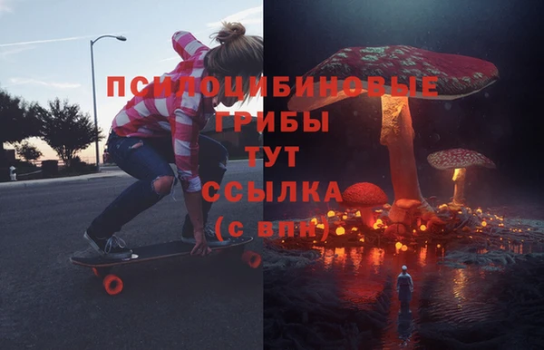 дурь Алексин